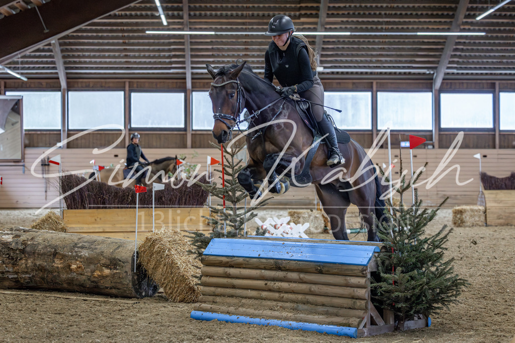 20260222-_3LI1905 | Tierfotografie Pferde, Hunde, Katzen, Haustiere.
Turnierfotografie Reitturniere, Reiten, Springreiten, Dressur in Hanau, dem Main-Kinzig-Kreis und dem Rhein-Main- Gebiet um Frankfurt