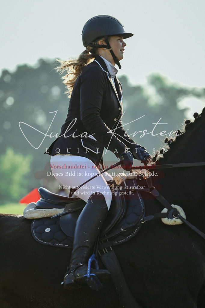 DSC_3864 | Pferde- und Turnierfotografie in Westsachsen. Pferdeportraits, Auftragszeichnungen und intuitive Kunst.