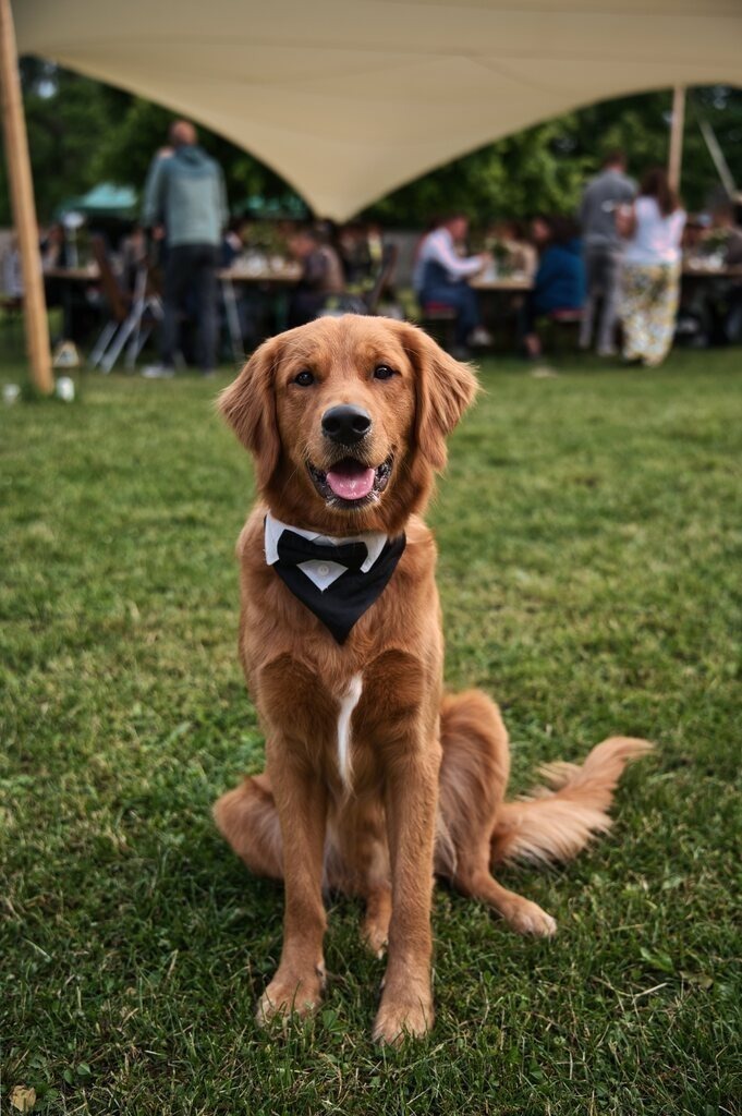 DSC_2266 | Unvergessliche Erinnerungen in Bildern festgehalten! Ob Hochzeit, Shooting oder Landschaft  - Ich bin dein Fotograf in Erfurt und Umgebung! Photo-Rauch | Sandro Rauch - Realisiert mit Pictrs.com