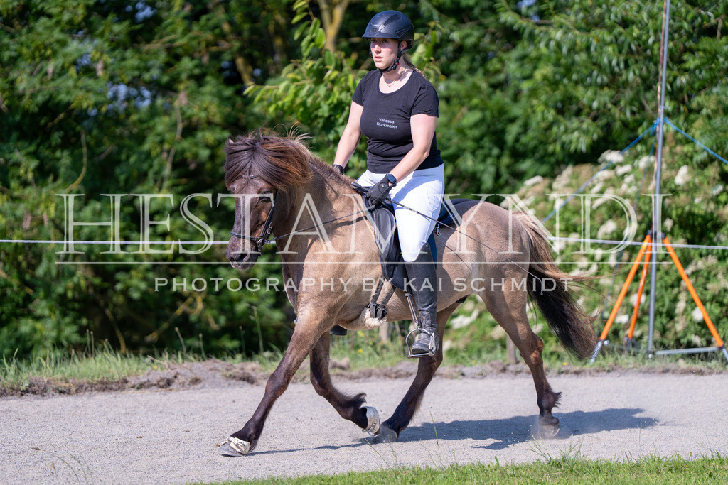KAI06958 | Ihr sucht einen Fotografen für eure nächste OSI? Ich begleite auch euer Turnier für Islandpferde fotografisch.  - Realisiert mit Pictrs.com