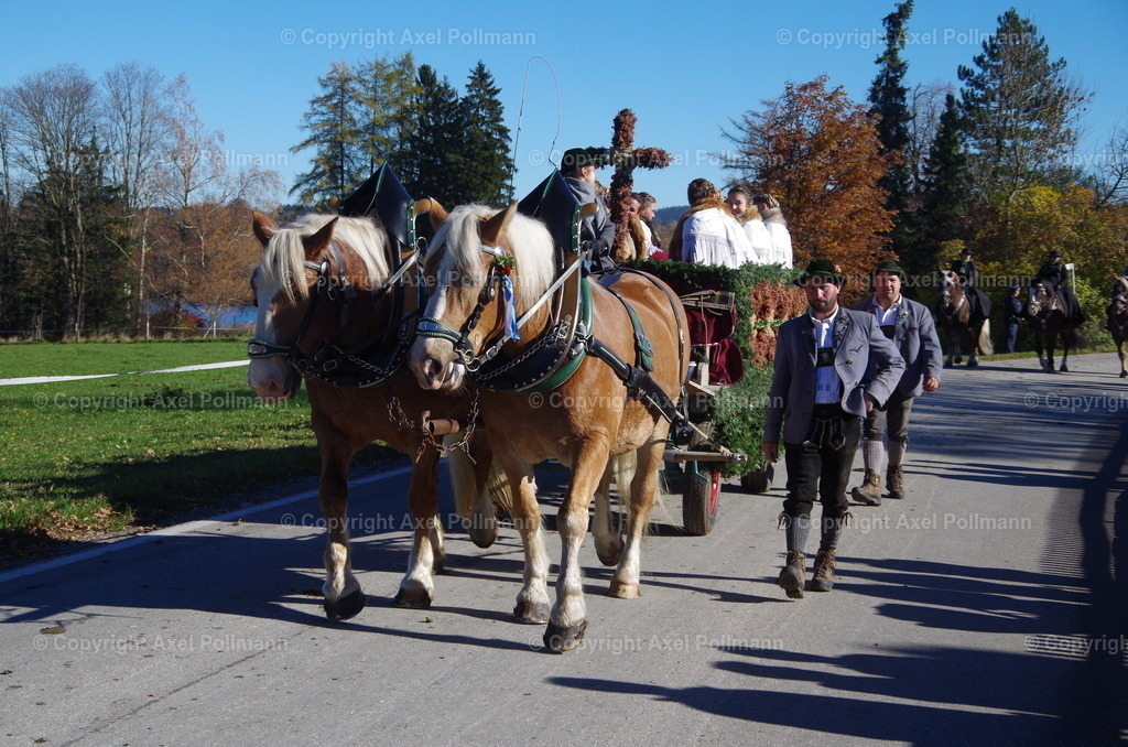 IMGP8189 | fotografiert von Axel PollmannLeonhardi Wallfahrt Benediktbeuern und Murnau, Fronleichnam, Fasching, Landschaft im Loisachtal und Benediktbeuern  - Realisiert mit Pictrs.com