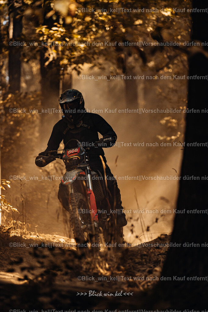 E68A8028 | blick_win_kel