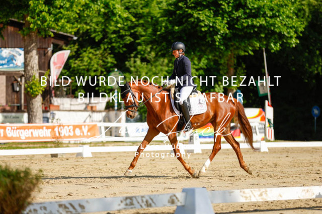 _62_2313 | larahueckfotografie