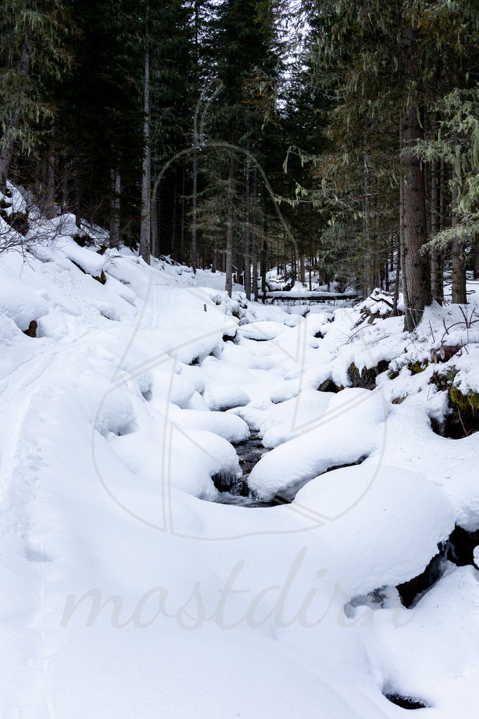 Winter entlang des Plareitbaches | Ihre Fotografin im Lungau, ihre Fotografin im Mostviertel, Wandbilder Onlineshop, Imagefotos für Ihr Unternehmen,  - Realisiert mit Pictrs.com