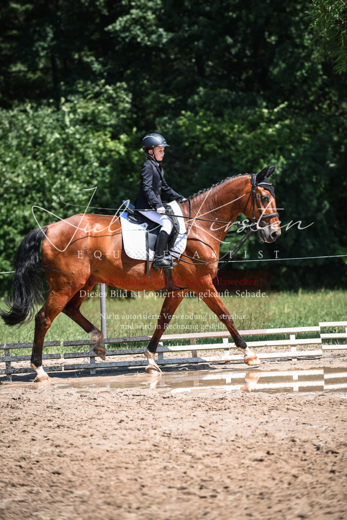 DSC_2996 | Pferde- und Turnierfotografie in Westsachsen. Pferdeportraits, Auftragszeichnungen und intuitive Kunst.