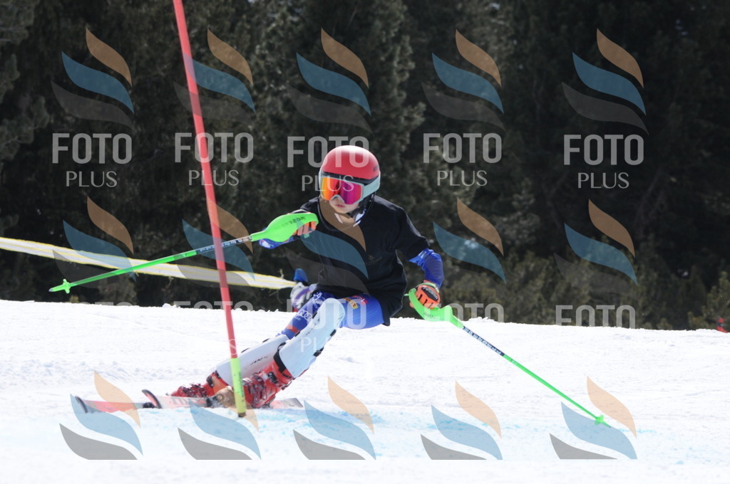 C9927 | holidayphoto