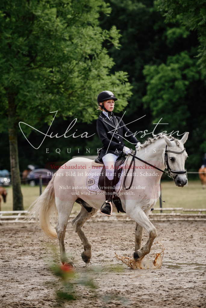 DSC_9441 | Pferde- und Turnierfotografie in Westsachsen. Pferdeportraits, Auftragszeichnungen und intuitive Kunst.
