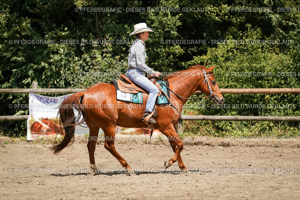 DSC09593 | Pferdegrafie