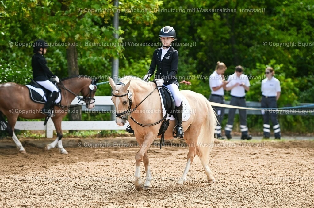 20230716_10-3_Reiter-WB Schritt - Trab - Galopp_0104 | equistock