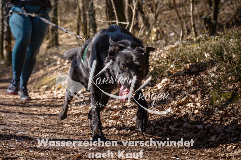1143_ZZ99886 | kk-dogfotos