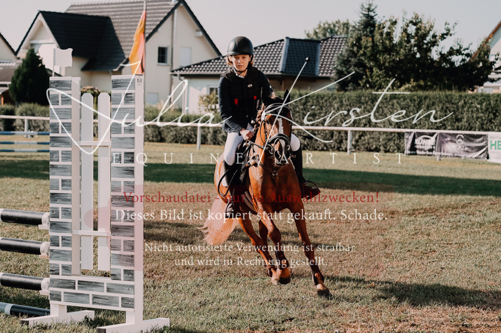 DSC_4450 | Pferde- und Turnierfotografie in Westsachsen. Pferdeportraits, Auftragszeichnungen und intuitive Kunst.