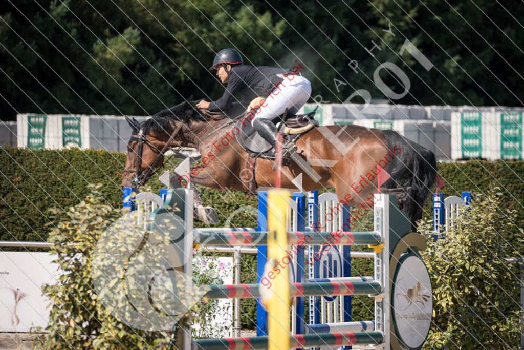 DSC_3511 | Sport-, Event- und Tierfotos in Profiqualität. Einfach auswählen, bestellen und herunterladen. Dein Moment – perfekt festgehalten.