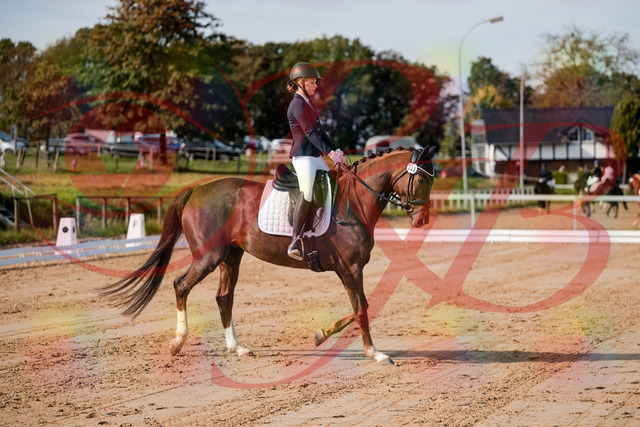 2026_10_03_Siefer-Hof_114722_Z63_25924848 | Professionelle Reitsport-, Turnier- und Eventfotografie von Robert Broda. Galerien mit ausgewählten und bearbeiteten Bildern direkt online ansehen und bestellen.
