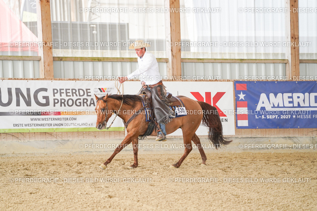 DSC00790 | Pferdegrafie