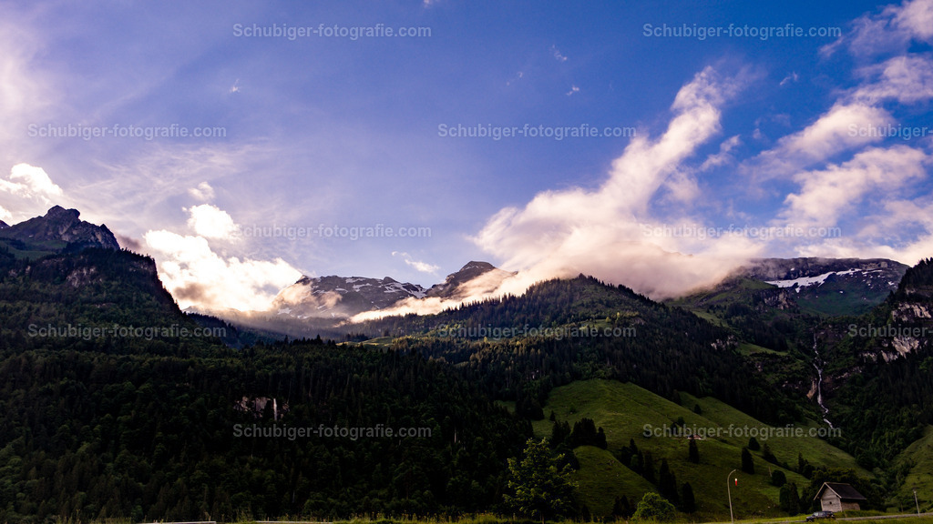 DSCF1717 | fotografie, Schubiger, Landschaftsfotografie, Tierfotografie, Industrie, Immobilien, Bilder, Poster, Kunst und KI - Realisiert mit Pictrs.com