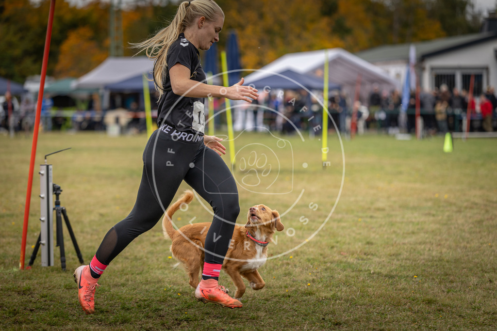 Pfotenfotografie_DV3A7491 | Hundefotografie, Tierfotograf, Pfotenfotografie, Fotoshooting Hund, Hunde Portrait, Hundesport, Hundeportraits, Heideshooting, Hunde, Sportfotograf, Hundefotograf, Turnierhundsport, THS,  - Realisiert mit Pictrs.com