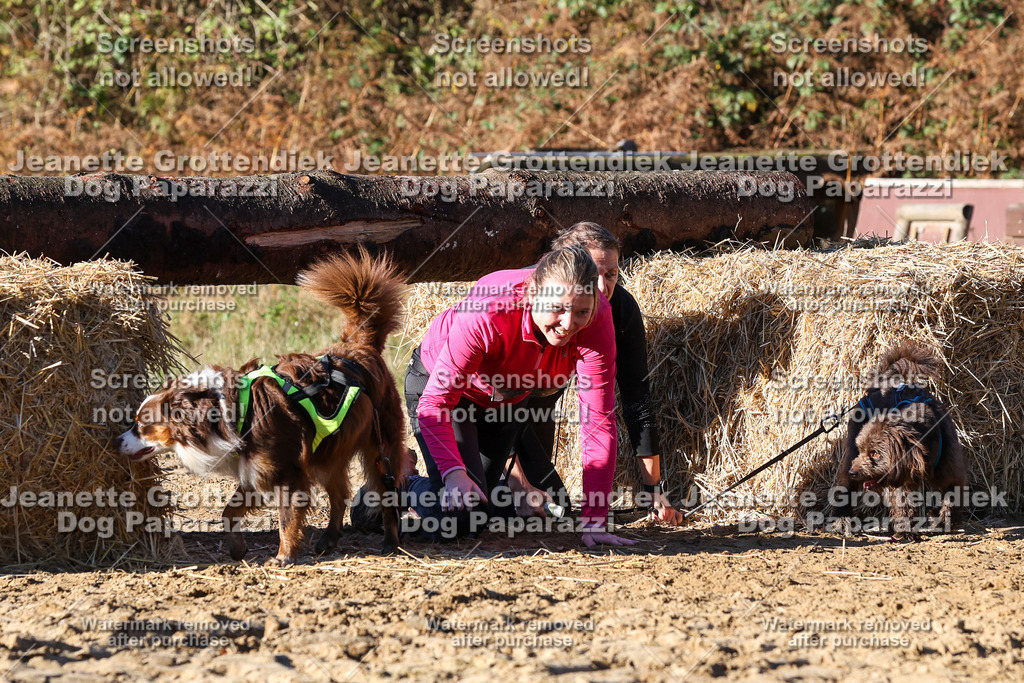 Dog Paparazzi - Strongdog 10-25-1748 | Dog Paparazzi Jeanette Grottendiek Fotografie & Videografie - Realisiert mit Pictrs.com