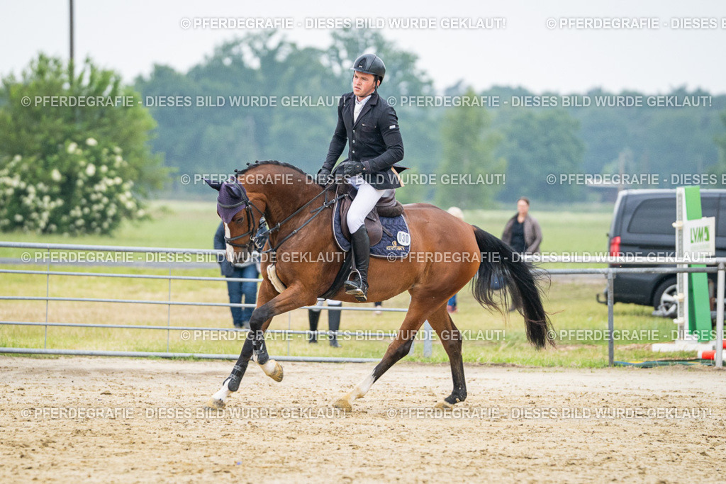 DSC00578 | Pferdegrafie