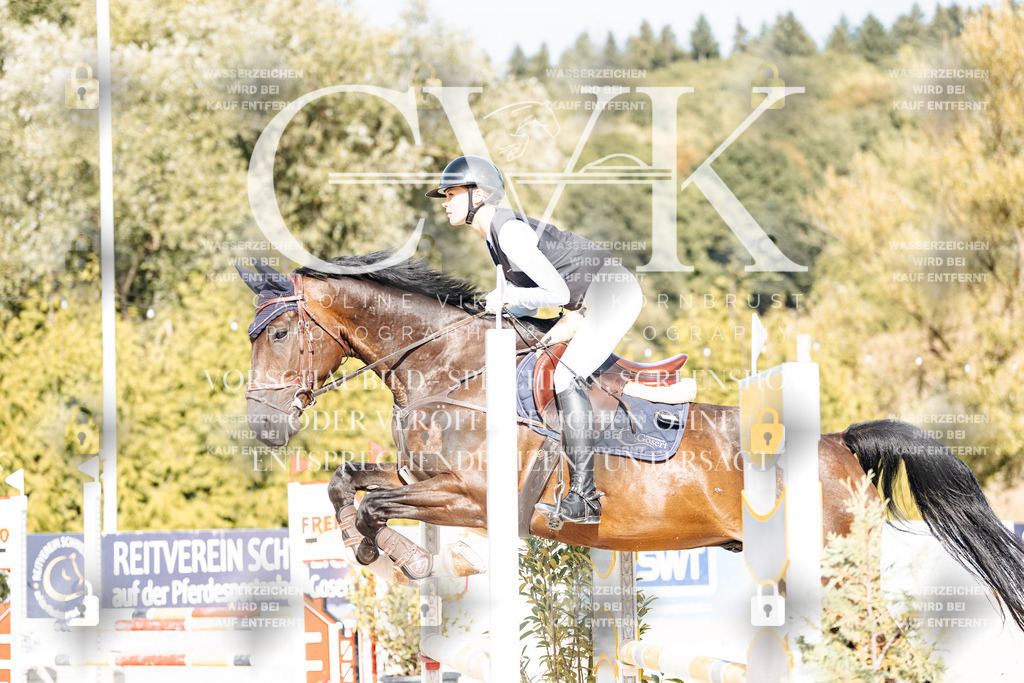 CK909258 | Turnierfotografie Pferdefotografie Trier Rheinland-Pfalz Pferdesport Reitsport Tierfotografie Sportfotografie Pferdevideo Pferdevideografie Equestrianvideography equestrianphotography  - Realisiert mit Pictrs.com