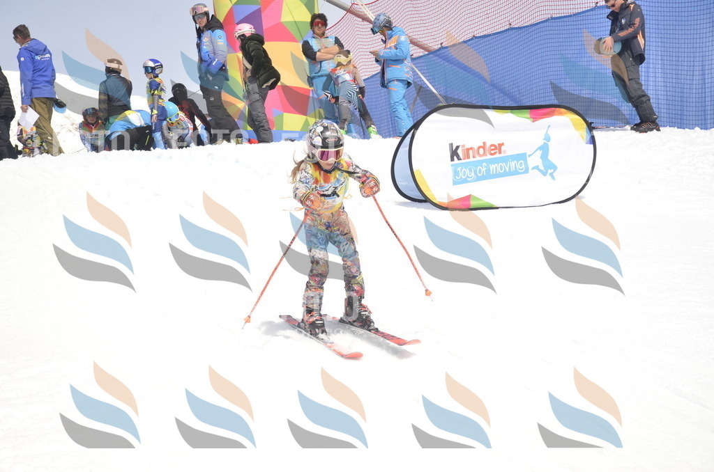 _ELE8733 | holidayphoto