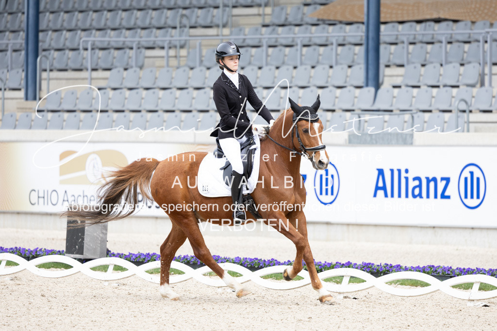 126A6170 | jasminmetznerfotografie