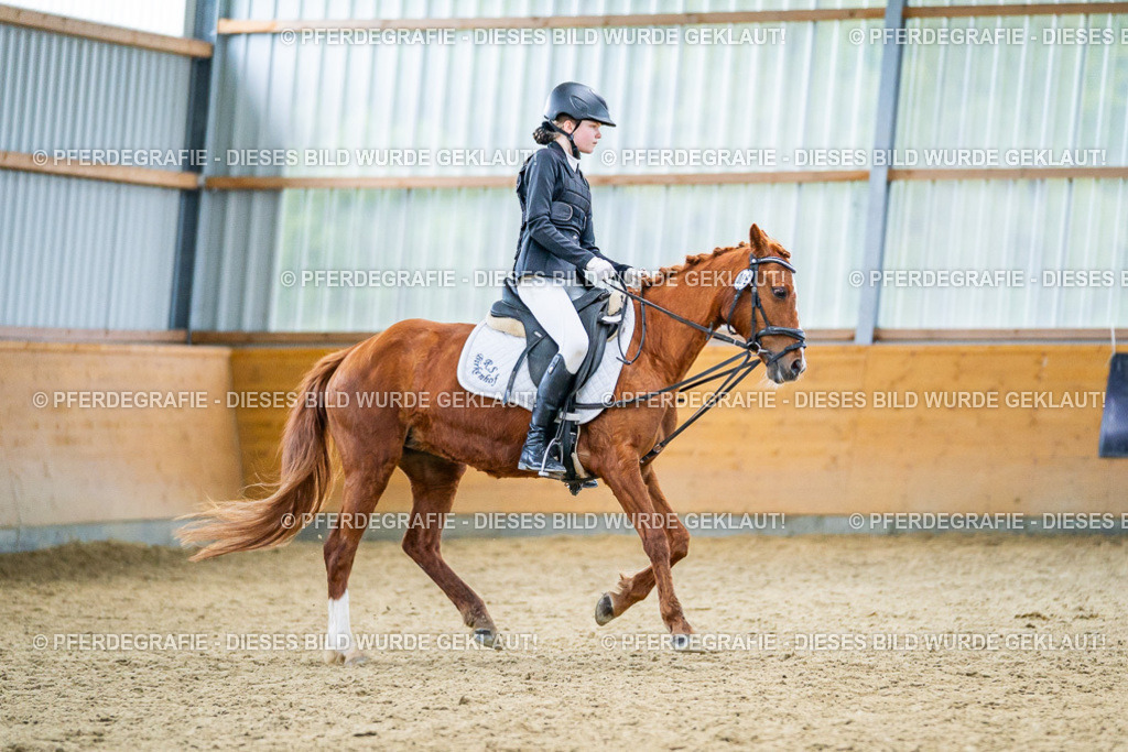 DSC04894 | Pferdegrafie