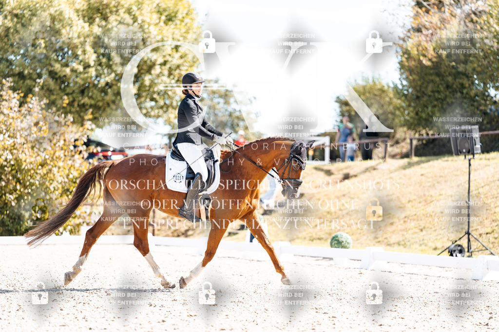 CK909581 | Turnierfotografie Pferdefotografie Trier Rheinland-Pfalz Pferdesport Reitsport Tierfotografie Sportfotografie Pferdevideo Pferdevideografie Equestrianvideography equestrianphotography  - Realisiert mit Pictrs.com