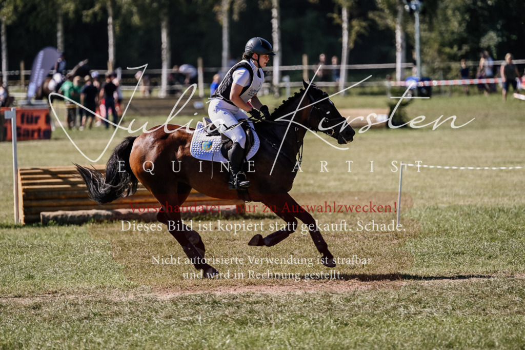 DSC_1508 | Pferde- und Turnierfotografie in Westsachsen. Pferdeportraits, Auftragszeichnungen und intuitive Kunst.