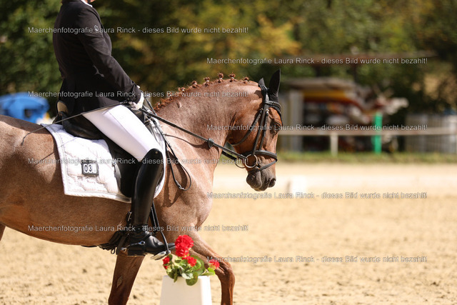 HG9A1799 | laurarinckfotografie - Realisiert mit Pictrs.com