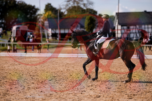 2026_10_03_Siefer-Hof_133853_Z81_98051946 | Professionelle Reitsport-, Turnier- und Eventfotografie von Robert Broda. Galerien mit ausgewählten und bearbeiteten Bildern direkt online ansehen und bestellen.