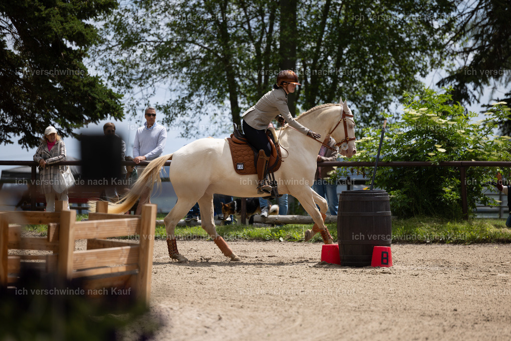 Masterclass_stoibphotography_C2_C7968.CR3 | working equitationturnier fotograf videograf stoibphotography marixx film working equitation deutschland reitsport turnierfotografie eventfotografie equestrian events