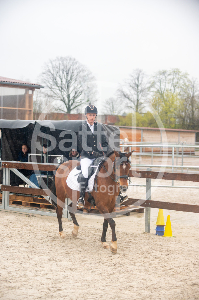 DSC_3975 | sattelsport - Realisiert mit Pictrs.com