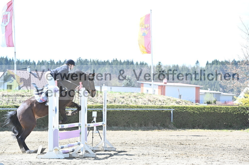 DSC_4958 | equestrian-live-com