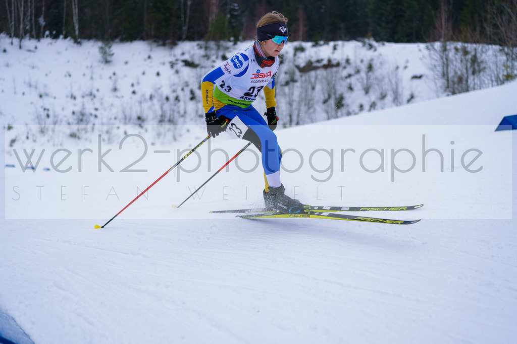 DSC Arber | Bayerischer Wald am 9. bis 12. Februar 2023
