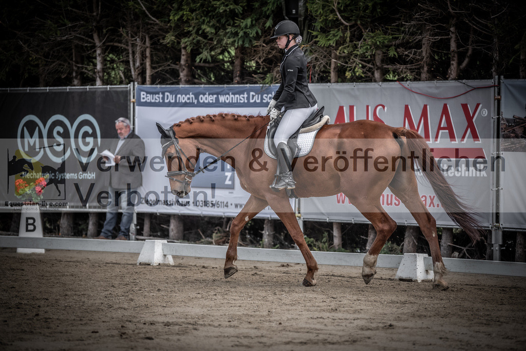 DSC_0780 | equestrian-live-com