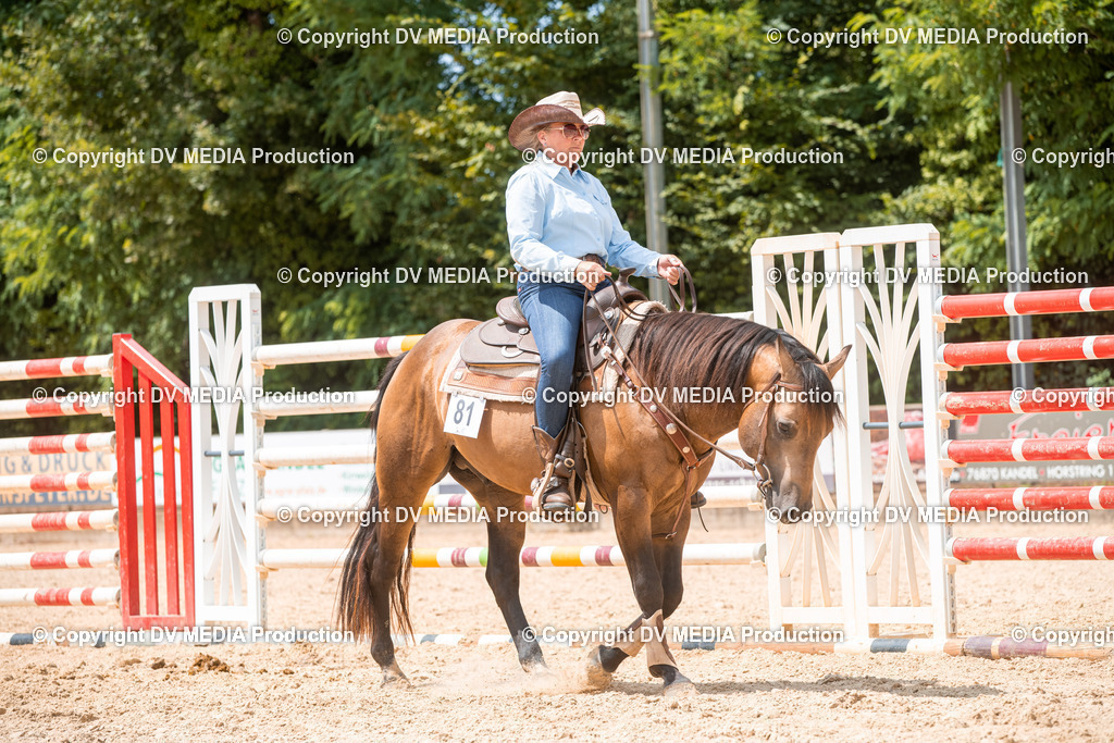 EWP_6512 | dv-media-shop - Realisiert mit Pictrs.com