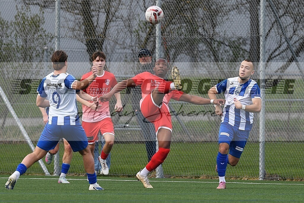 sDSC_0249 | Kaufen Sie Sportbilder im Onlineshop von Andy Scherrer Sportfotografie. Faszinierende Bilder von Sportevents aus der ganzen Schweiz. Fussball, Frauenfussball, Unihockey, Handball, Schwingen und weiteren Sportarten. - Realisiert mit Pictrs.com