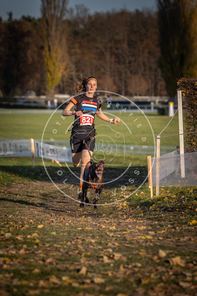 CaniXpix_DV3A3265 | Hundefotografie, Tierfotograf, Pfotenfotografie, Fotoshooting Hund, Hunde Portrait, Hundesport, Hundeportraits, Heideshooting, Hunde, Sportfotograf, Hundefotograf, Turnierhundsport, THS,  - Realisiert mit Pictrs.com