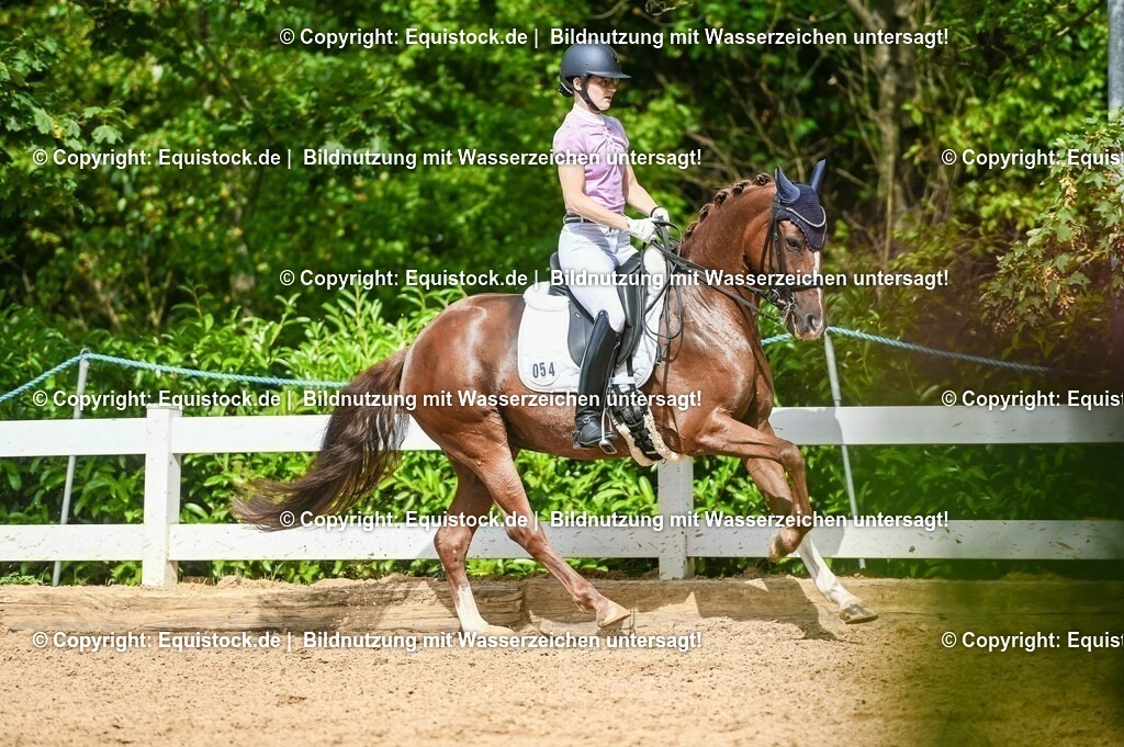 20230716_01_Dressurprüfung Kl.M_0397 | equistock