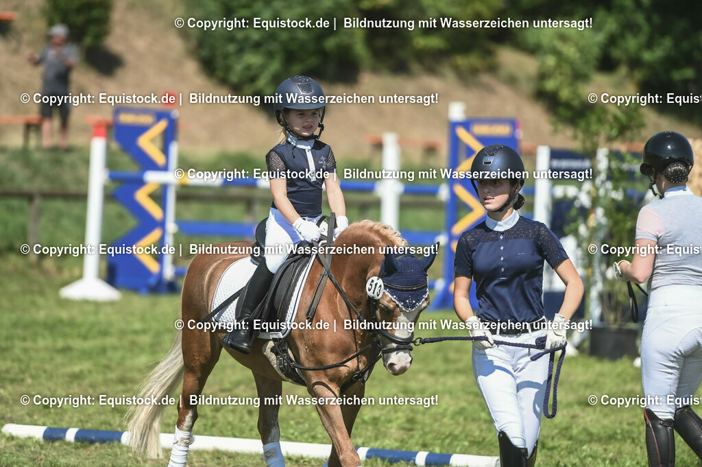 20230910_11-5_Führzügel-WB_0028 | Foto: Thomas Hartig