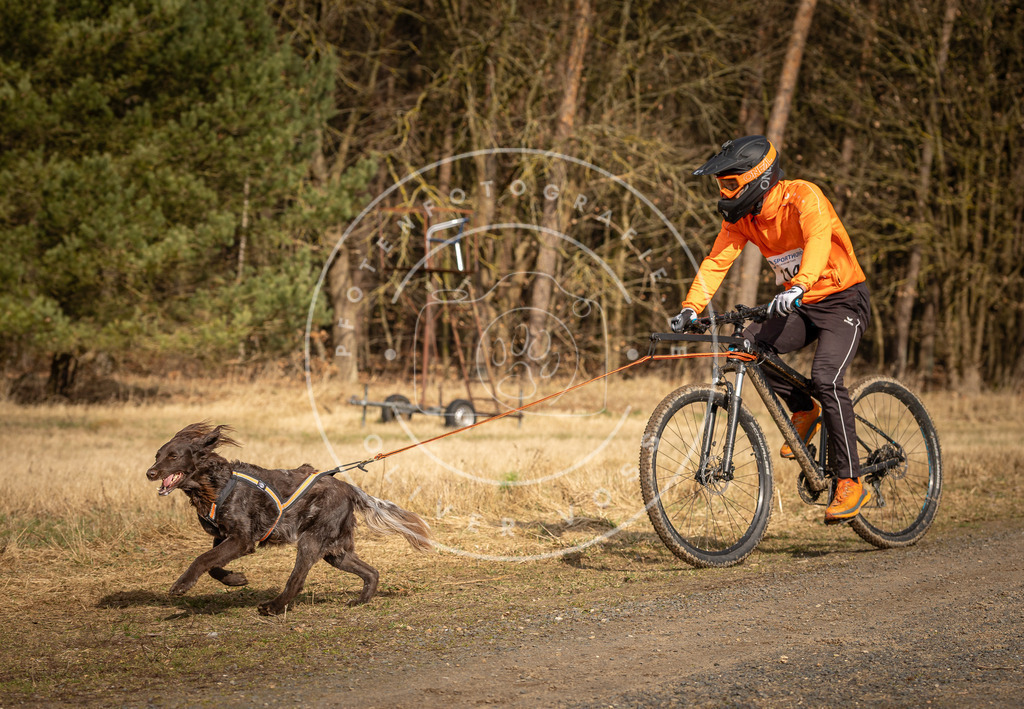 DV3A4467 | Hundefotografie, Tierfotograf, Pfotenfotografie, Fotoshooting Hund, Hunde Portrait, Hundesport, Hundeportraits, Heideshooting, Hunde, Sportfotograf, Hundefotograf, Turnierhundsport, THS,  - Realisiert mit Pictrs.com