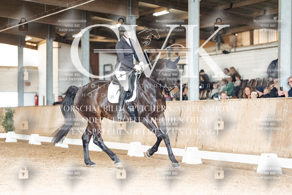 CK902079 | Turnierfotografie Pferdefotografie Trier Rheinland-Pfalz Pferdesport Reitsport Tierfotografie Sportfotografie Pferdevideo Pferdevideografie Equestrianvideography equestrianphotography  - Realisiert mit Pictrs.com
