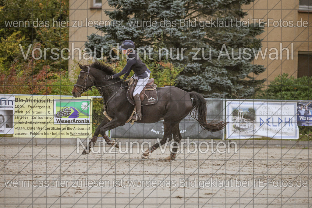 2025-09-22_09-51-40_MG_4934 | TE-Fotos