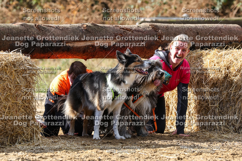 Dog Paparazzi - Strongdog 10-25-5003 | Dog Paparazzi Jeanette Grottendiek Fotografie & Videografie - Realisiert mit Pictrs.com