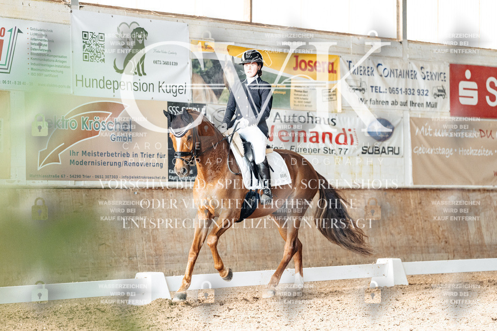 CK903172 | Turnierfotografie Pferdefotografie Trier Rheinland-Pfalz Pferdesport Reitsport Tierfotografie Sportfotografie Pferdevideo Pferdevideografie Equestrianvideography equestrianphotography  - Realisiert mit Pictrs.com