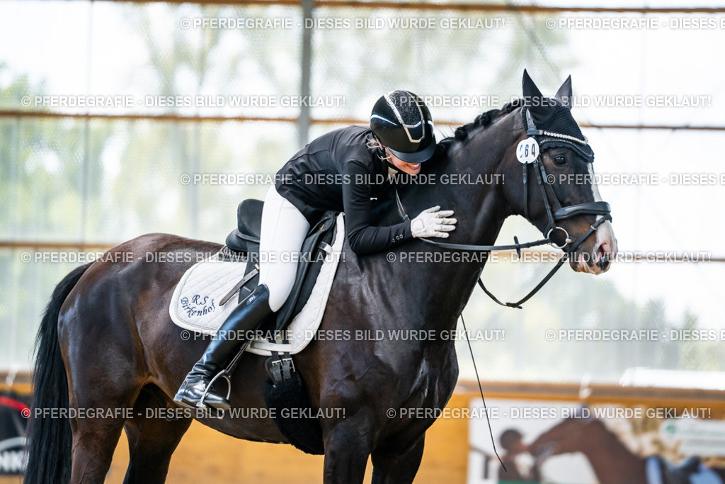 DSC06003 | Pferdegrafie