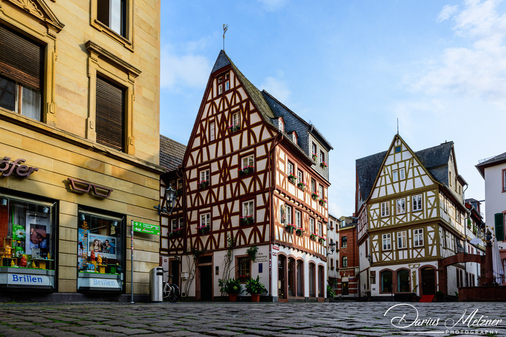 DSC_3377 | Fotografien, Fotos und Bilder aus Mainz, Frankfurt, Wiesbaden und anderen Orten auf der Welt - Fotografiert von Darius Metzner