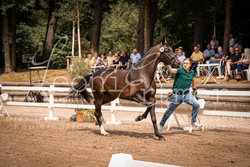 2. Fr00109 | Leoni Ertmer Photography - Realisiert mit Pictrs.com