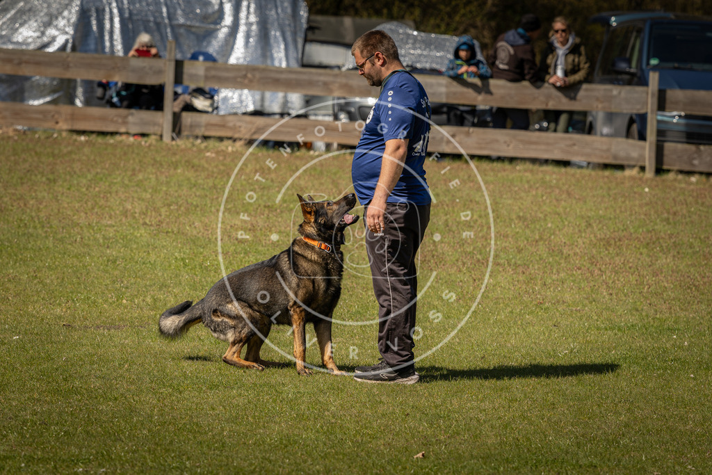 Pfotenfotografie_DV3A0834 | Hundefotografie, Tierfotograf, Pfotenfotografie, Fotoshooting Hund, Hunde Portrait, Hundesport, Hundeportraits, Heideshooting, Hunde, Sportfotograf, Hundefotograf, Turnierhundsport, THS,  - Realisiert mit Pictrs.com