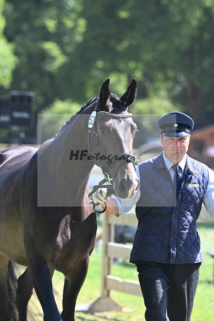 Kat-Nr. 52 Alegra v. Scalatore_HLG Schwaiganger_19250974 | hf-fotografie - Realizzato con Pictrs.com